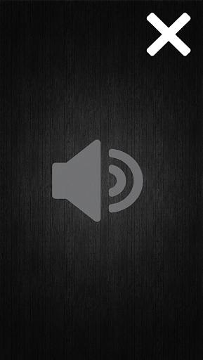 Ultrasound Screen 2