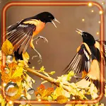 Cover Image of ダウンロード Autumn Birds Sounds  APK