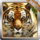 Tiger Animated Wallpaper icon
