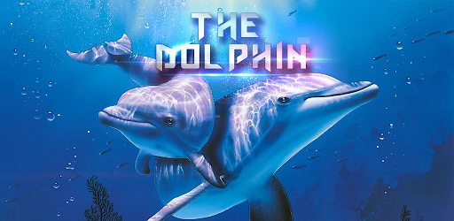 The Dolphin
