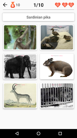 Game screenshot Extinct animals, endangered sp mod apk