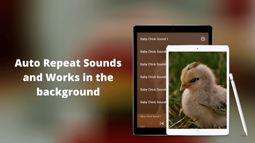 Chicks Sounds - Chirping Noise Screen 3