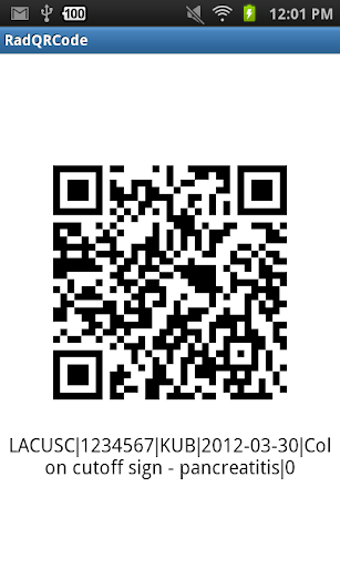 RadQRCode Screen 3