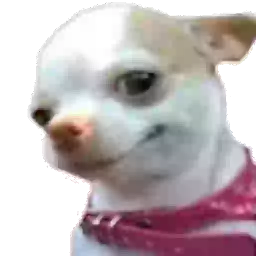 Stickers - memes WASticker