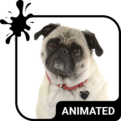 Cute Pug Keyboard Wallpaper HD Unduh di Windows