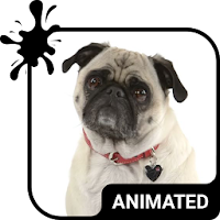Cute Pug Animated Keyboard + Live Wallpaper