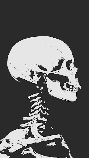 Skulls & Bones Wallpapers Screen 2