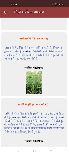 IIVR - Sabji Gyan Screen 2