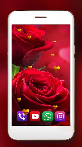 Roses Red Love Live Wallpaper