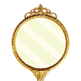 Mirror Image icon