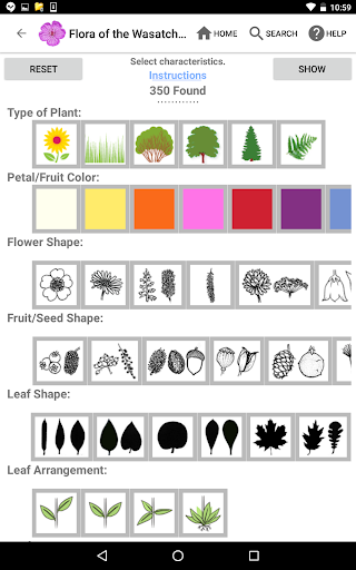 Screenshot of Flora of the Wasatch