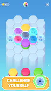 Color Slide – Hexa Puzzle 3