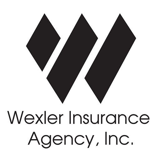 Wexler Delivery  Icon