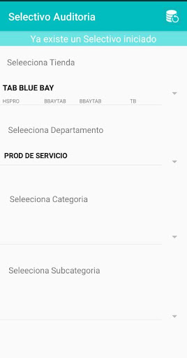 Auditoria Selectivo HS Screen 2