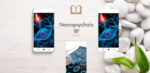 neuropsychology book