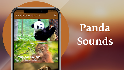 Panda Sounds Screen 2