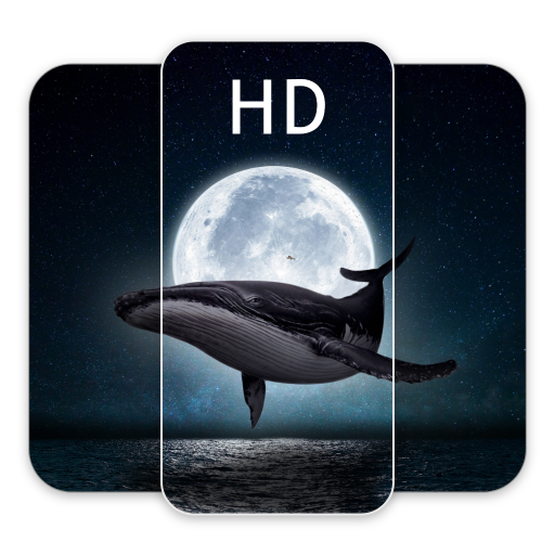 Daily Wallpapers HD logo