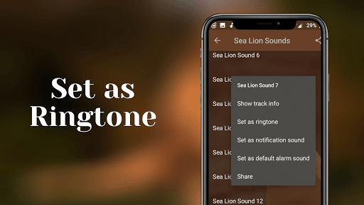 Sea lion sounds Screenshot 3 - AppWisp.com