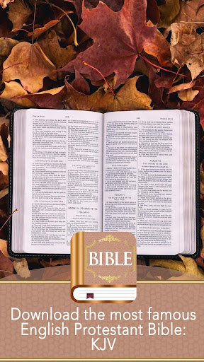 KJV Bible Screen 3