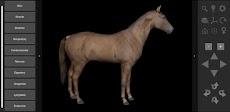 3D Horse Anatomyのおすすめ画像1