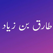 Tariq Bin Ziyad Urdu Novel