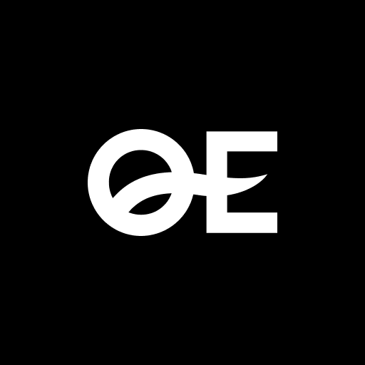 QE Food Stores logo