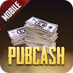 Cover Image of Download Pubcash 1.0.45 APK