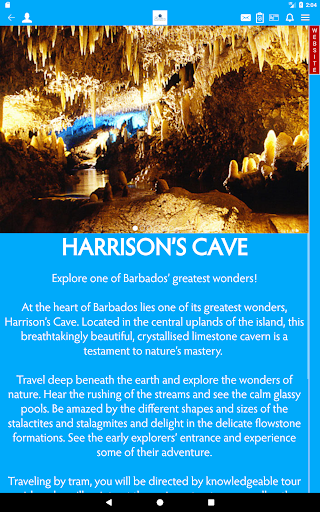 Realtors Luxury Villa Rentals