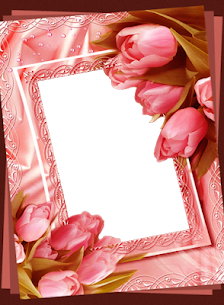 Flower Photo Frames Apk Download For Android & iOS 3