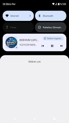 Turkey Radio Stations Screen 3