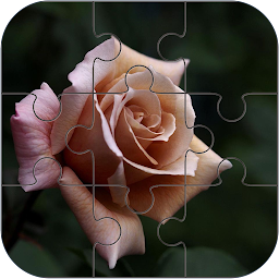 Rose Jigsaw Puzzle Mod Apk