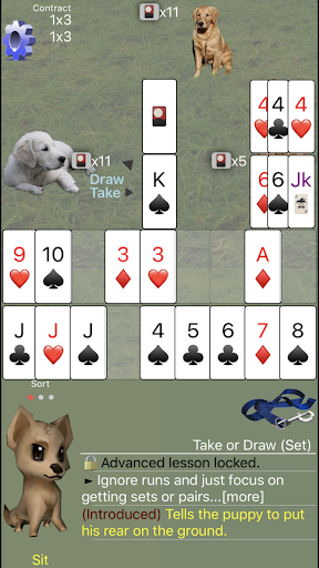 K9 Shanghai Rummy