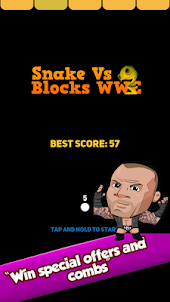 Blocks VS Snake WWW