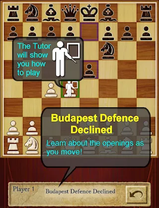 Chess Pro - Screenshot 3
