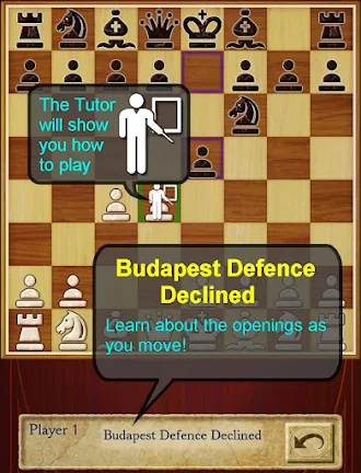 Game screenshot Шахматы Pro (Chess) apk download