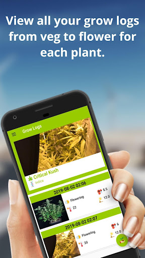 Grow Boss Screen 2
