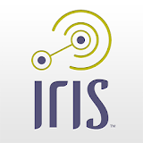 Iris from Lowe's icon