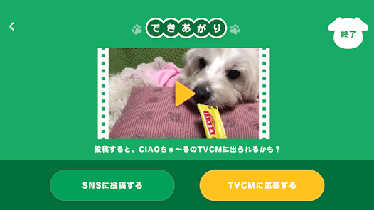 Wanちゅーるメーカー ちゅ るcmが簡単に作れるアプリ Google Play のアプリ
