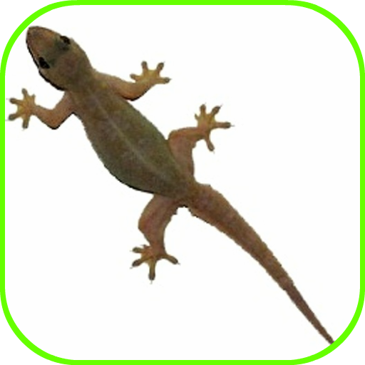 Lizard Fall  Icon