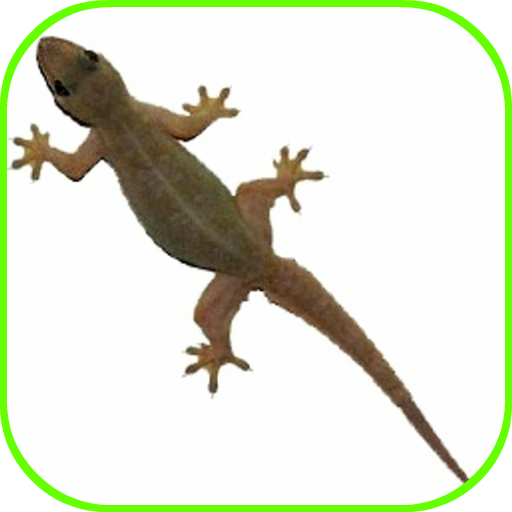 Lizard Fall logo