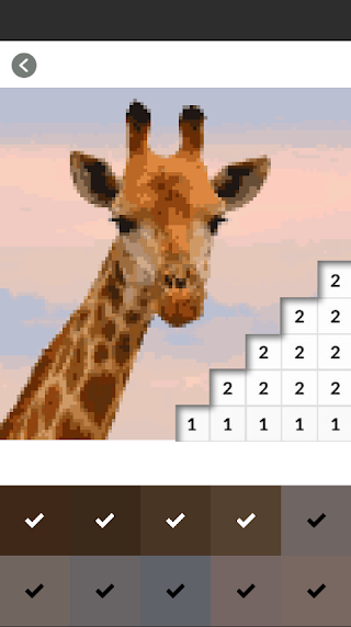 Wild Animal Pictures Coloring - Screenshot 3