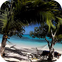 شاطئ مشمس خلفيات فيديو