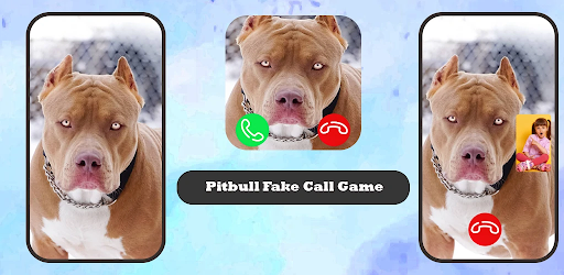 Android application Pitbull Fake Video Call Game screenshort