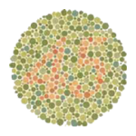 Cover Image of ดาวน์โหลด ColorBlindness SimulateCorrect  APK