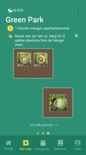 Dyrk Screen 3