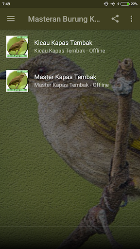 Masteran kapas Tembak Offline Screen 2