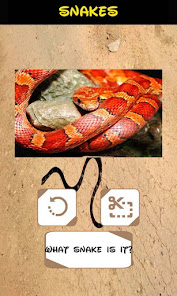 Capture d'écran