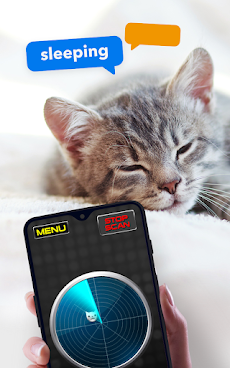 What Do Cats: Joke Radarのおすすめ画像5