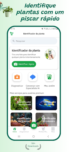 Visualização do aplicativo