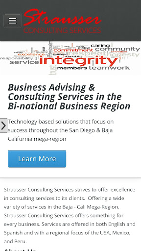 Strausser Consulting Services